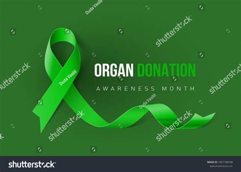 Banner With Organ Transplant And Organ Donation Awareness Realistic