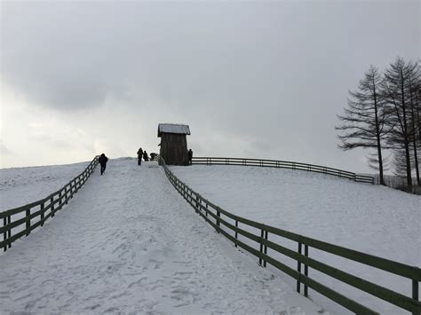 Free Images : landscape, snow, morning, hill, walkway, ranch, weather