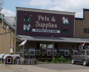 Lancaster, pennsylvania, holmes county, ohio, and shipshewana. Berlin Pets at Schrock's Amish Farm and Village in Berlin ...