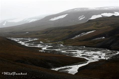 Svalbard Landscapes Glaciers Ice Fields And Pointed Peaks Wild