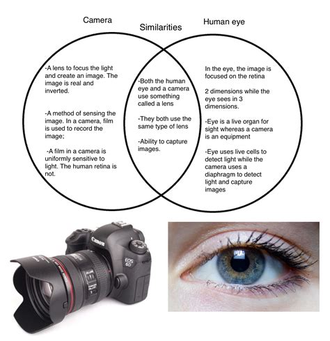 Kevins Photography Differences And Similarities Between Camera And