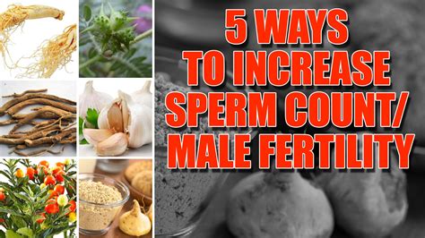 Five Food That Can Help Increase Sperm Count Mojidelano Com