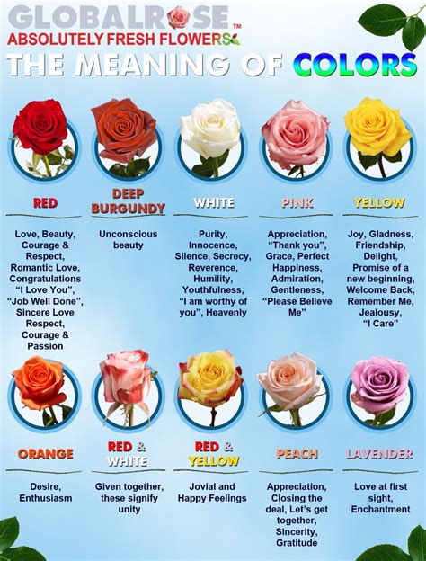 Rose Colours And Their Meanings Plant Images Download
