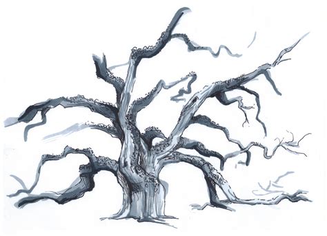Gnarly Tree By Ilovetodraw On Deviantart