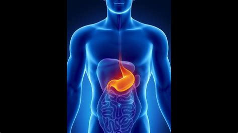 A colon can also introduce something that acts as an appositive. Causes of Colon Cancer - YouTube