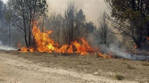 Los incendios forestales actuales han afectado 898.755 hectáreas en 14 de las 23 provincias del país, donde se registraron más de 50 focos. Weekend | Incendios en la Argentina: ahora Jujuy es la ...