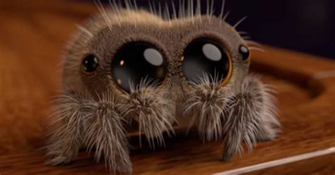 Adorable Spider Video Is Curing People Of Their Arachnophobia