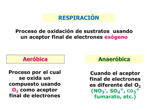 Respiración Anaerobia y Aerobia Cuadros Comparativos Cuadro Comparativo