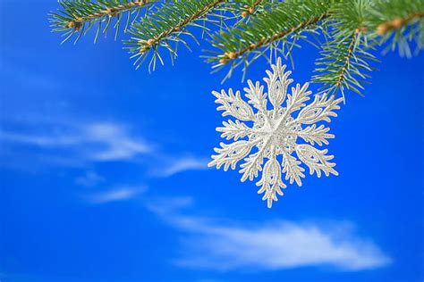 Artificial Snowflake Stock Photos Pictures And Royalty Free Images Istock