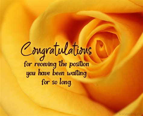 Best Wishes For New Job Congratulations Messages