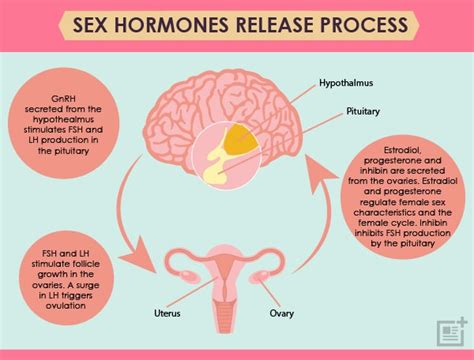 Hormone Balancing ~ Revolutions Naturopathic Natural Medicine Look