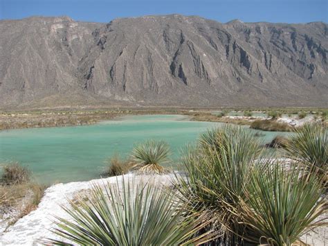 Cuatro Ciénegas Un Oasis En El Desierto De Coahuila