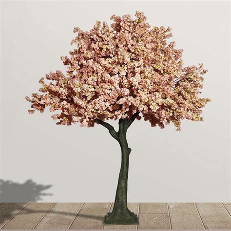 How do you keep peach blossoms from freezing? China Umbrella-like Pink Cherry Blossom Tree With Dense ...