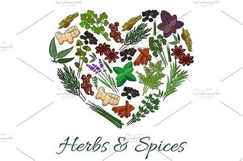 Herbs and spices icons | Herbs & spices, Herbs, Spices