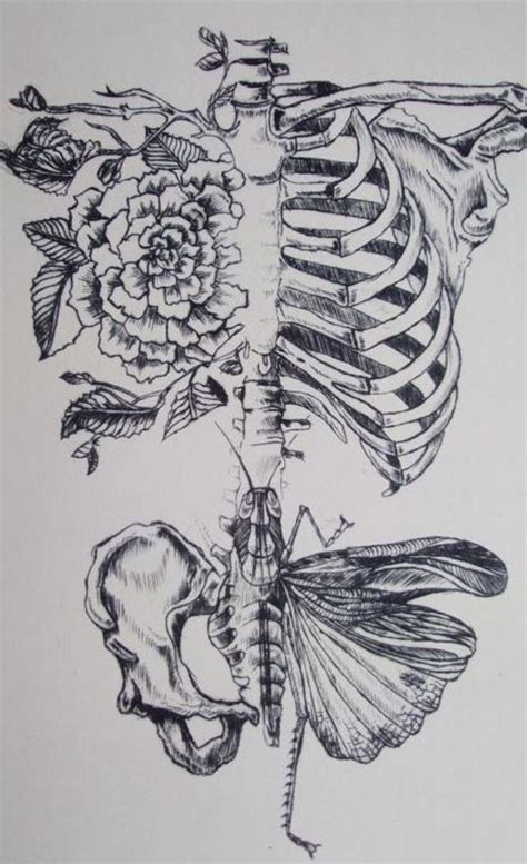 Metamorphosis Art Tattoo Anatomy Art Tattoos