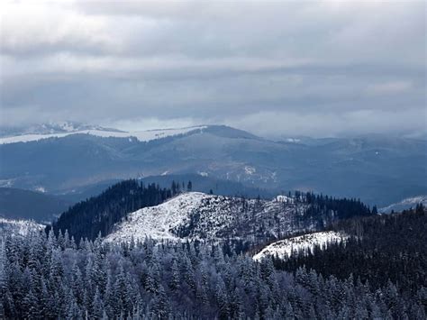 4 Best Things To Do In The Smoky Mountains In The Winter