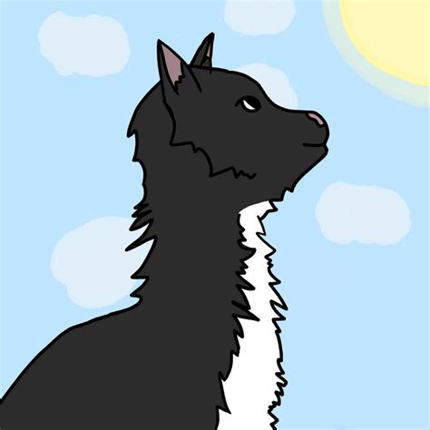 Tuxedo Cat By Alphaizla On Deviantart
