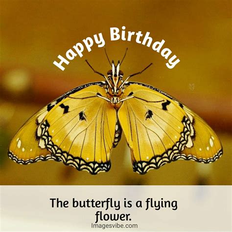 Best 30 Happy Birthday Butterfly Images And Wishes In 2023 Images Vibe