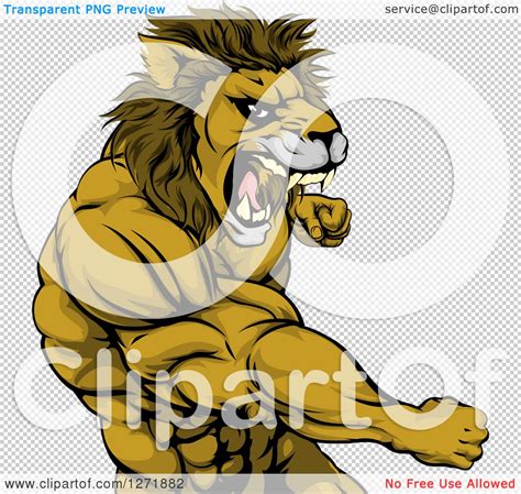 Clipart Of A Tough Angry Muscular Lion Man Punching And Roaring