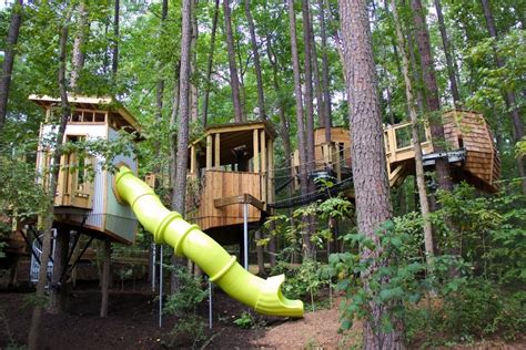 Durham Museums New Hideaway Woods Beckons Treehouse Lovers To Play