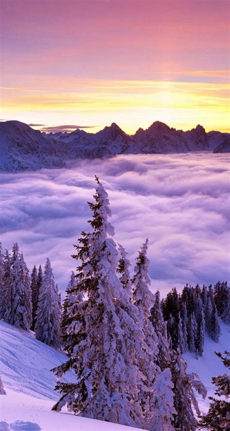 Winter Clouds Trees Mountains And Sun Winter Scenery Winter