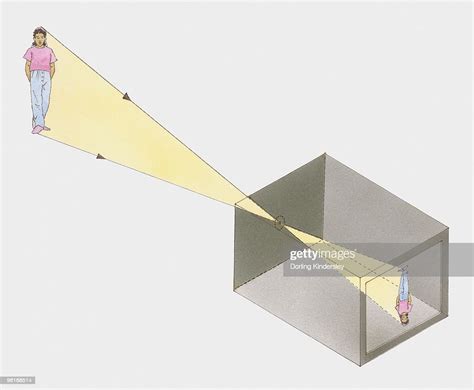 Illustration Showing How A Pinhole Camera Works High Res Vector Graphic