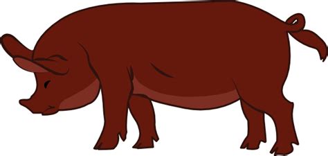 Free pig svg clipart in ai, svg, eps and cdr | also find cute pig wallpaper or how to draw pig face clipart free pictures among +73,043 images. Duroc Pig Clip Art at Clker.com - vector clip art online ...