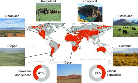 Drylands Of The World Drylands Are Water Limited Ecosystems Found