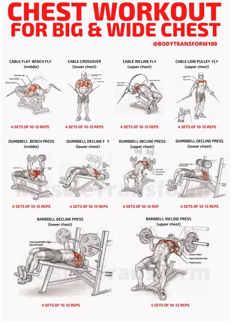 12 At Home Chest Workout For Men With Dumbbells And Cables