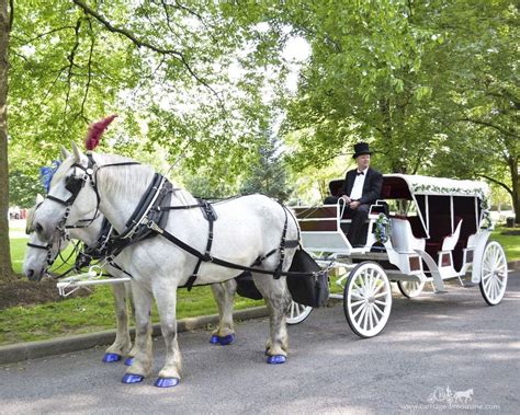 Horse Drawn Vehicles Carriage Limousine Service Prom Carriage