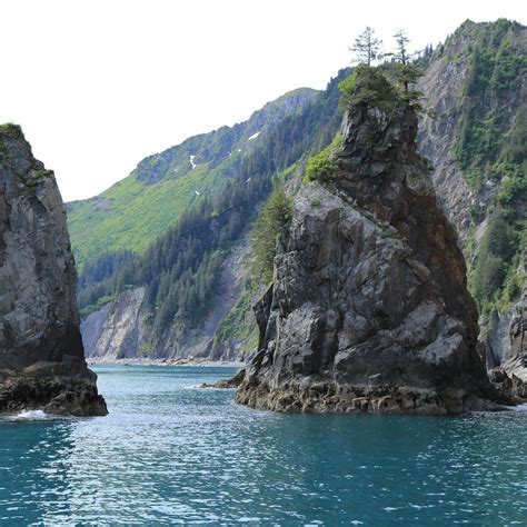 Resurrection Bay Seward All You Need To Know Before You Go