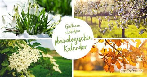 Der ideale zeitpunkt neue obstbäume zu pflanzen ist der herbst vor dem ersten frost. Phänologischer Kalender - die Natur zeigt dir, wann gesät ...