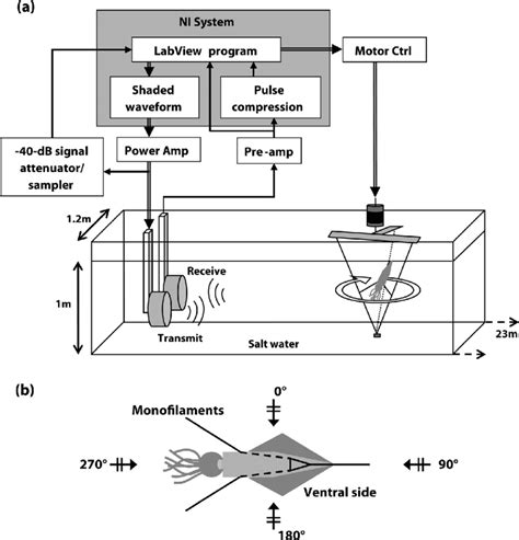 A The Pulse Echo System And Experimental Setup The Shaded Box