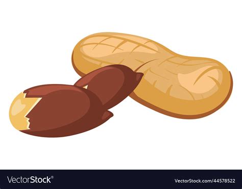 Peanut Icon Cartoon Nutshell And Peeled Nut Vector Image