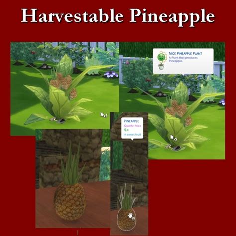 Harvestable Pineapple By Leniad At Simsworkshop Sims 4 Updates