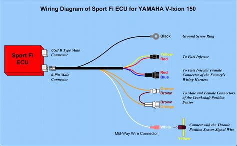 Other functions can use both injectors and aux outputs. Yamaha Fuel Injector Wiring Diagram / 1998 Yamaha 150 Wiring Diagram Database Wiring Diagram ...