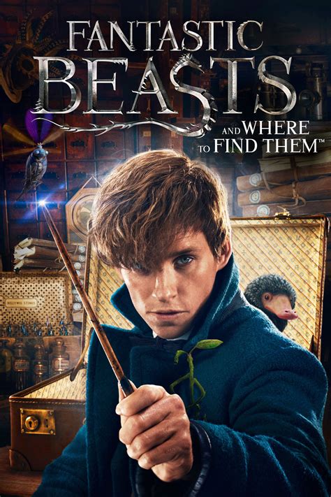 Fantastic Beasts And Where To Find Them Tv Listings And Schedule Tv Guide