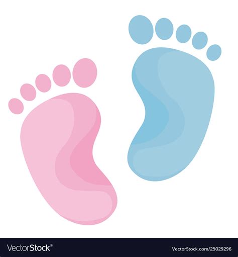 Baby Foot Print Blue And Pink Colors Royalty Free Vector