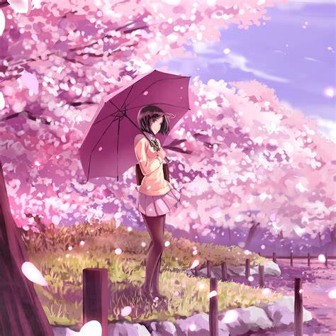Download Wallpaper 3415x3415 Girl Umbrella Sakura Anime Art