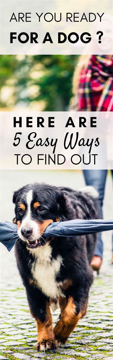 These many pictures of how to euthanize a dog with benadryl list may become your inspiration and informational purpose. The Cost of Owning a Dog | Dogs, Retriever puppy, Golden ...