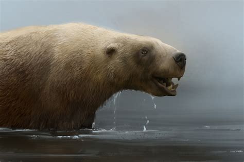 Killer Bite Of The Otter Bear Earth Archives