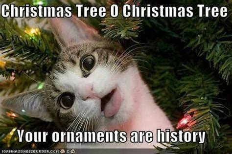 Naughy Christmas Memes Funny Christmas Memes Christmas Cats