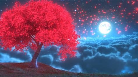 24 Cherry Blossom Night Anime Wallpaper Sachi Wallpaper