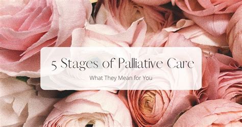 5 Stages Of Palliative Care What They Mean For You Funeral Cremation