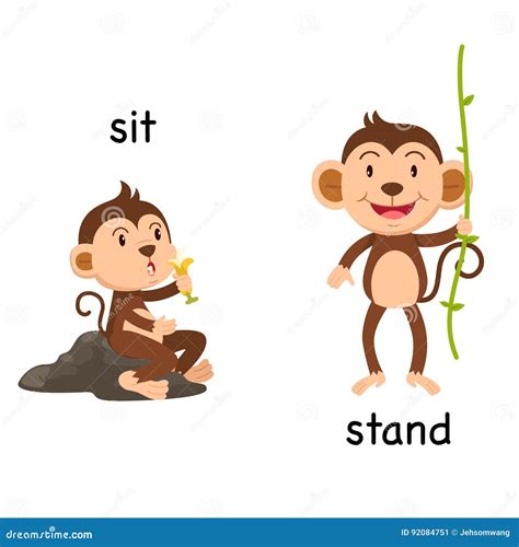 Opposite Words Sit And Stand Vector Stock Vector Illustration Of