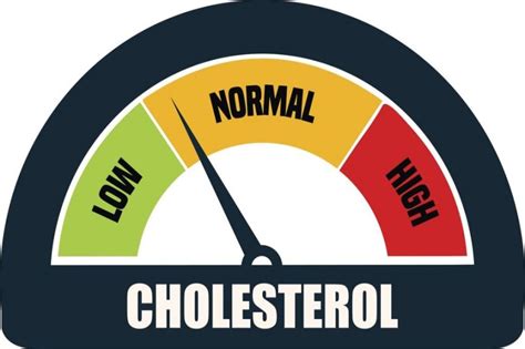 SINDO Hi Lite Kadar Kolesterol Normal Berdasarkan Usia Dan Jenis Kelamin