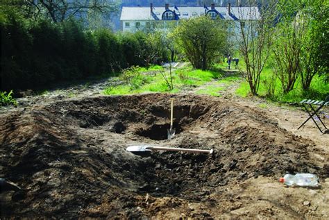A Simple Guide To Digging A Sustainable Garden Pond Gardenerd