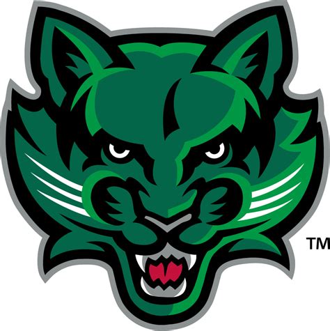 Binghamton Bearcats Logo Secondary Logo Ncaa Division I A C Ncaa