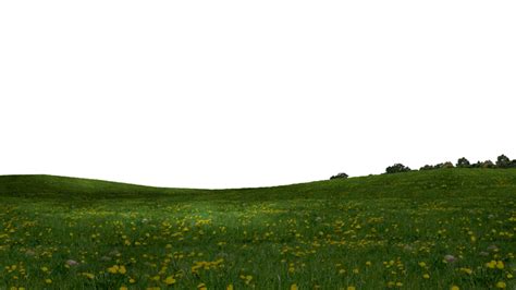 Field Clipart Grass Field Field Grass Field Transparent Free For