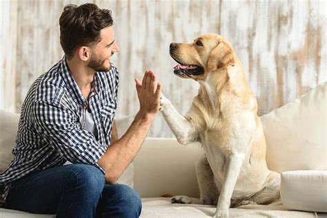 Men Have Stronger Emotional Bonds With Dogs Than Humans